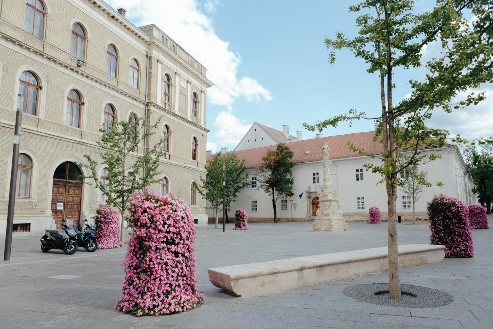 Contessa Apartment Cluj Napoca Cluj-Napoca Exterior foto
