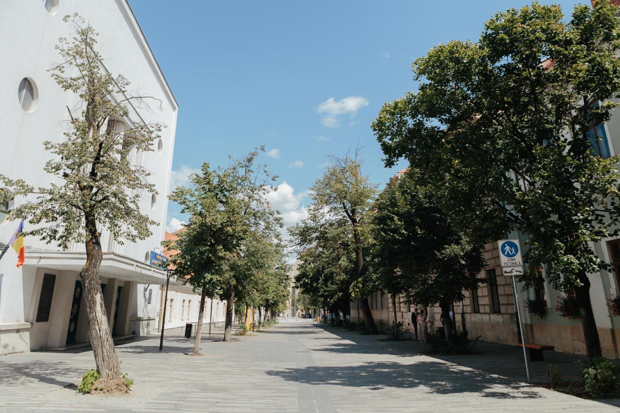 Contessa Apartment Cluj Napoca Cluj-Napoca Exterior foto